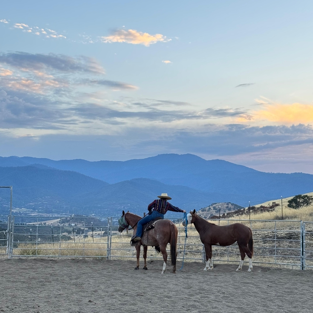 Meet your Posher, Madison